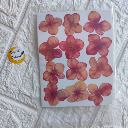 Pressed flower sheet for crafts featuring vibrant red and yellow flowers arranged on a white background