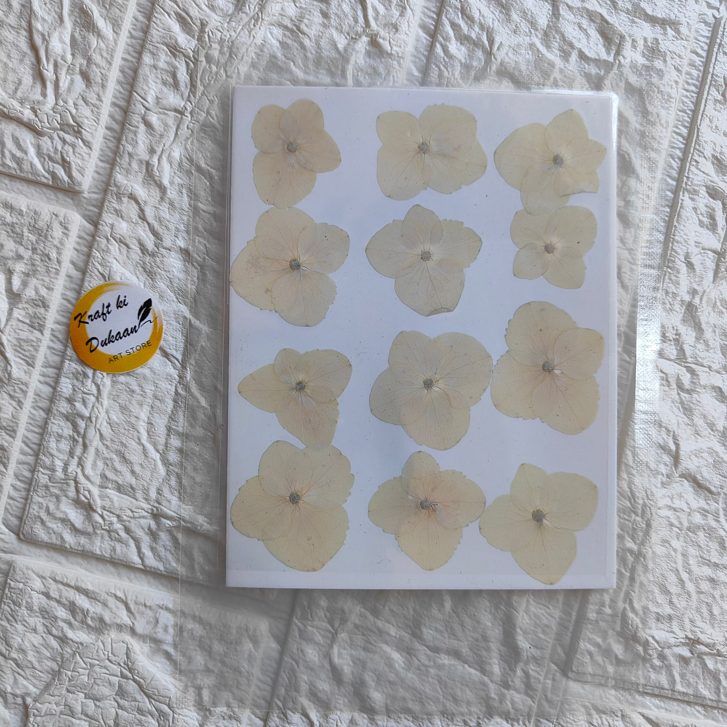 Pressed flower sheet for crafts featuring delicate, natural flowers arranged on a clear background