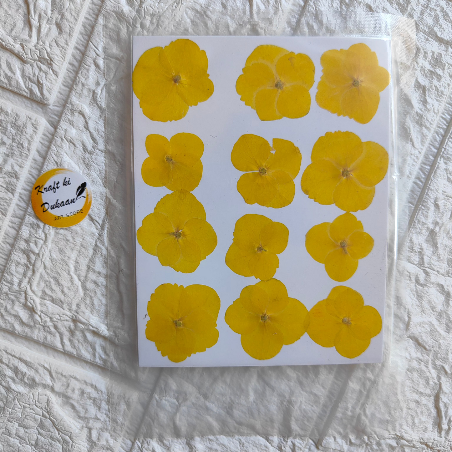Pressed flower sheet for crafts featuring vibrant yellow flowers on a white background