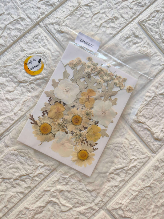 pressed-flower-sheet-for-resin-art-assorted-dried-flowers