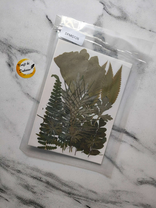 pressed-flower-sheet-for-resin-art-dried-plant-collection