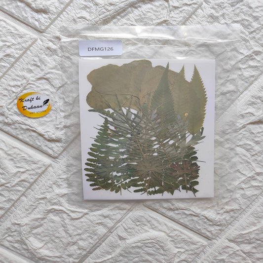 Pressed flower sheet for resin art featuring various dried leaves and ferns in a clear pack