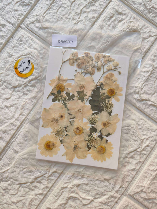pressed-flower-sheet-for-resin-art-natural-dried-flowers