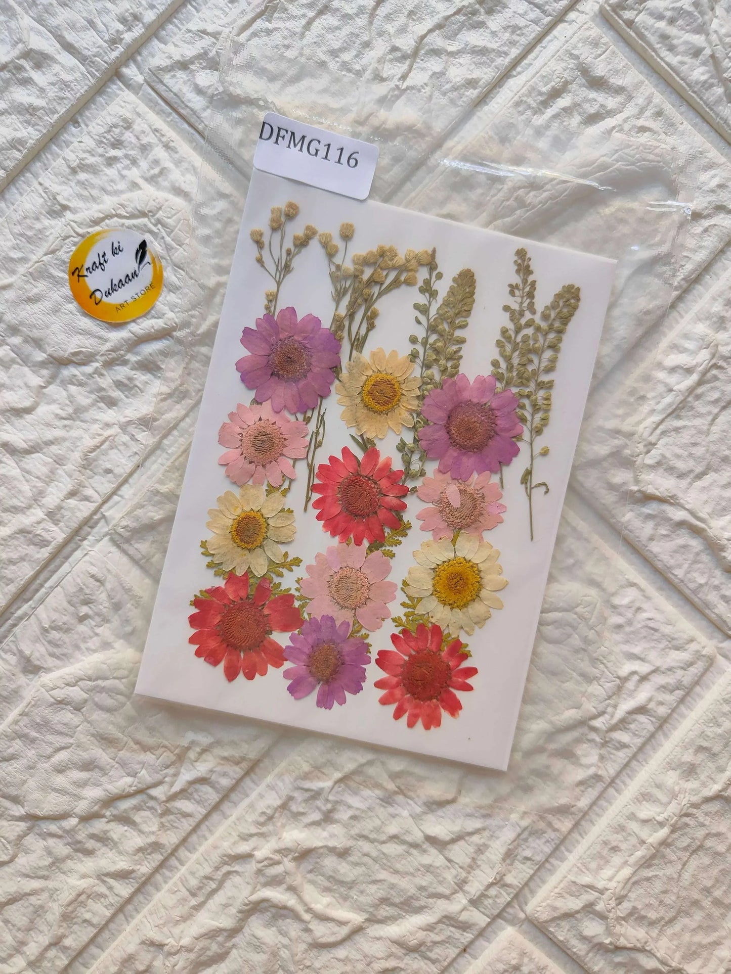 Pressed Flower Sheet Mix B22 with assorted pressed flowers on white sheet