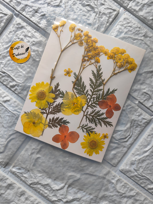 Mix pressed flower sheet for resin featuring vibrant yellow and orange flowers and green leaves