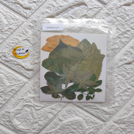 Pressed flower sheet for resin featuring assorted dried leaves and flowers from Kraft ki Dukaan