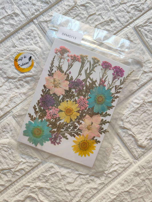 pressed-flower-sheets-for-resin-art-collection-of-dried-flowers