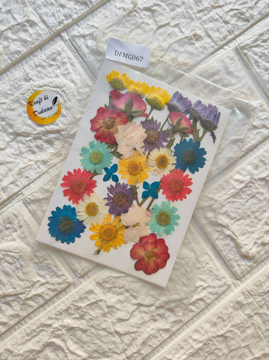 pressed-flower-sheets-for-resin-art-colorful-flower-collection