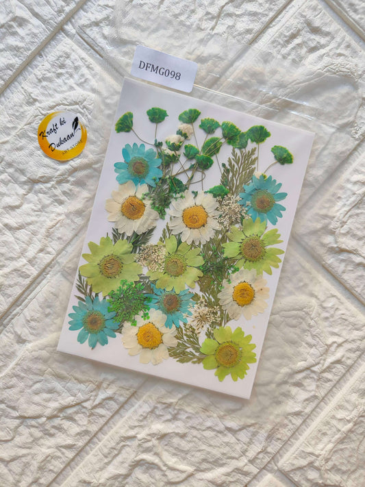 pressed-flower-sheets-for-resin-art-daisy-blue-green-flowers