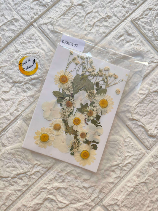 pressed-flower-sheets-for-resin-art-dried-flowers-mixed