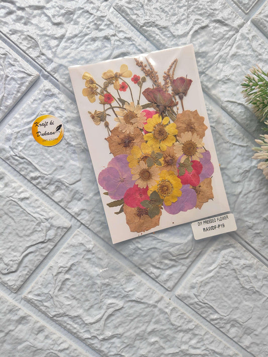 Compressed Flower Sheet Mix A2 with assorted colorful pressed flowers on white sheet