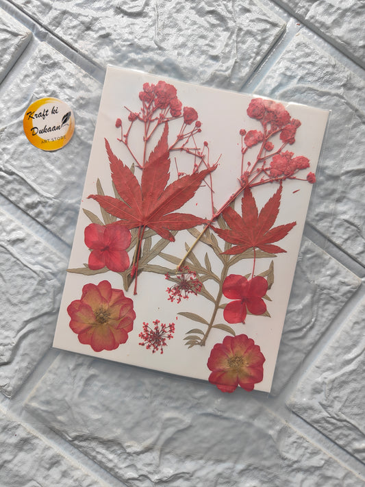 A10 pressed flower sheet mix featuring a colorful variety of dried flowers for crafts and decorations
