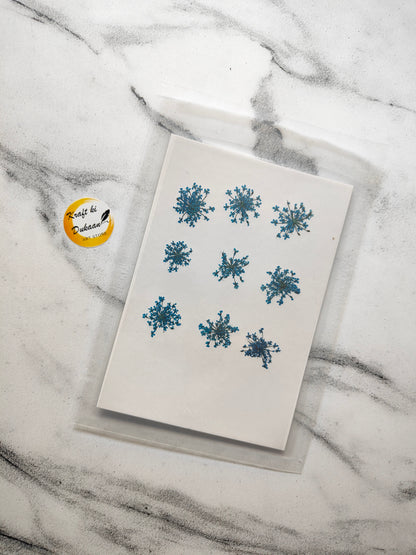 Queen breath dried flowers craft supplies displayed on a marble surface, ideal for creative projects