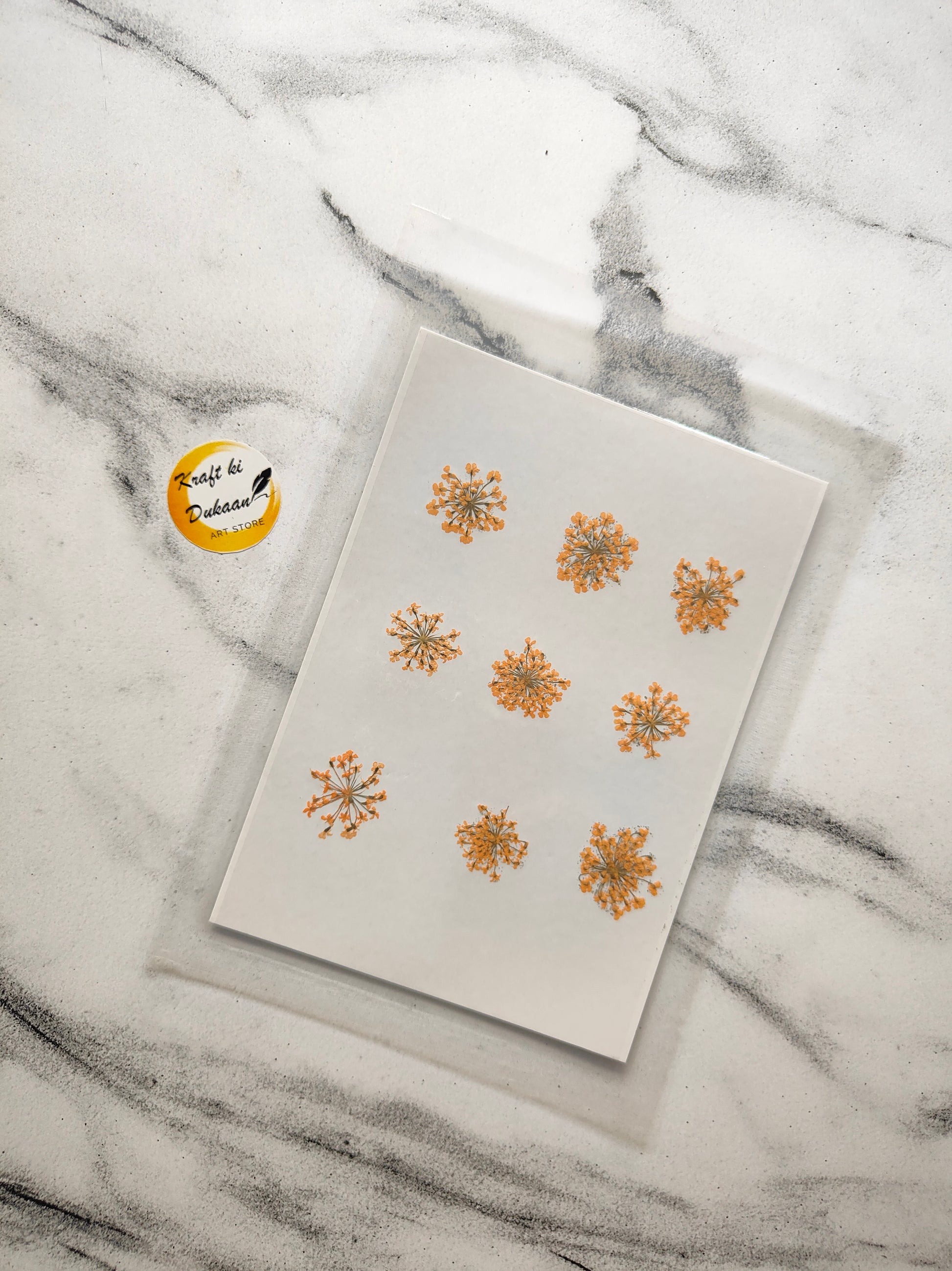 Queen breath dried flowers craft supplies arranged on a clear sheet for DIY projects