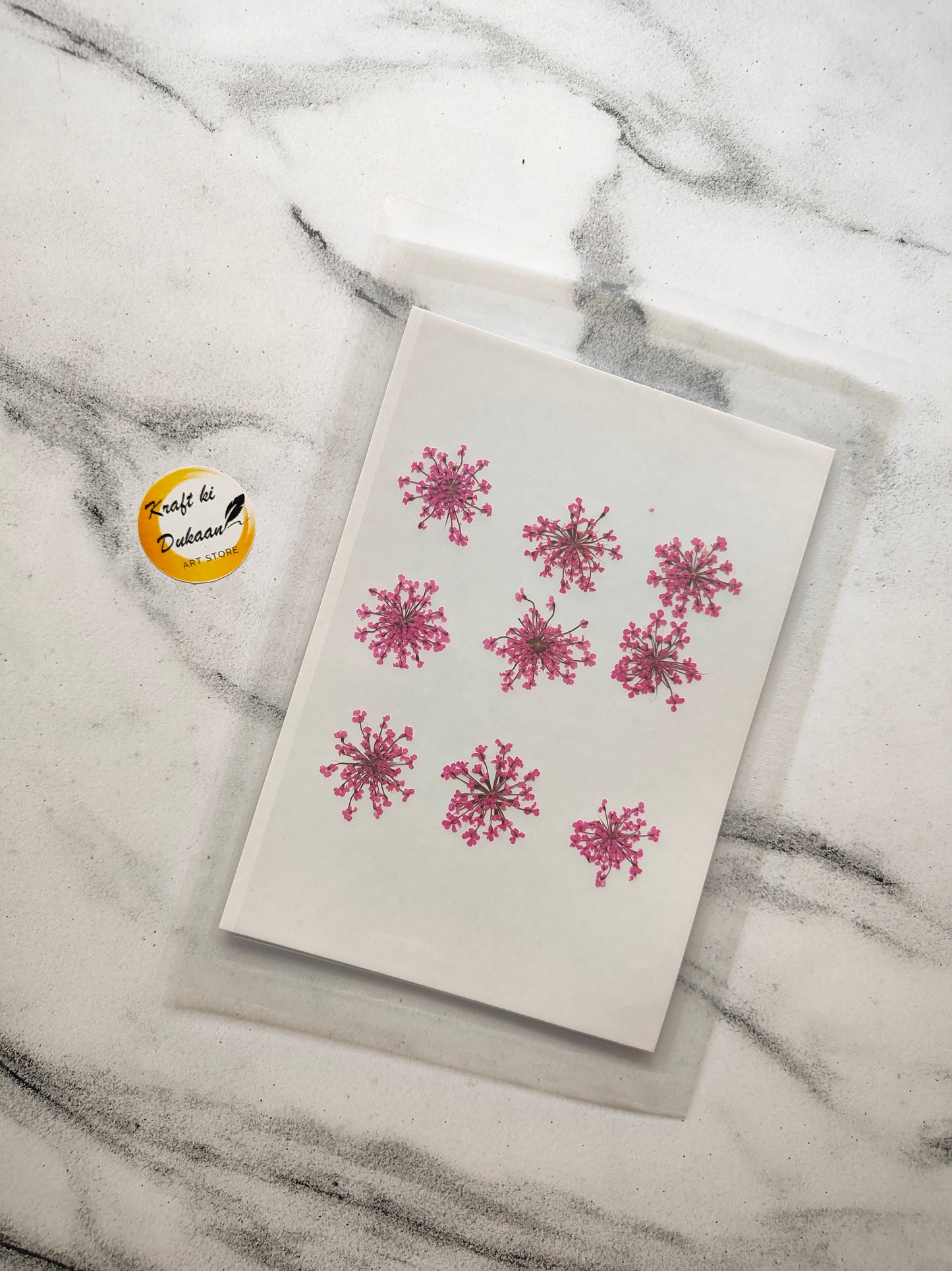 Queen breath dried flowers craft supplies on a decorative paper for crafting projects