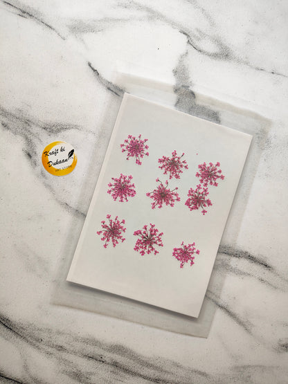 Queen breath dried flowers craft supplies on a decorative paper for crafting projects