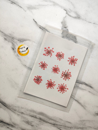 Queen breath dried flowers craft supplies set featuring vibrant floral designs on a clear sheet