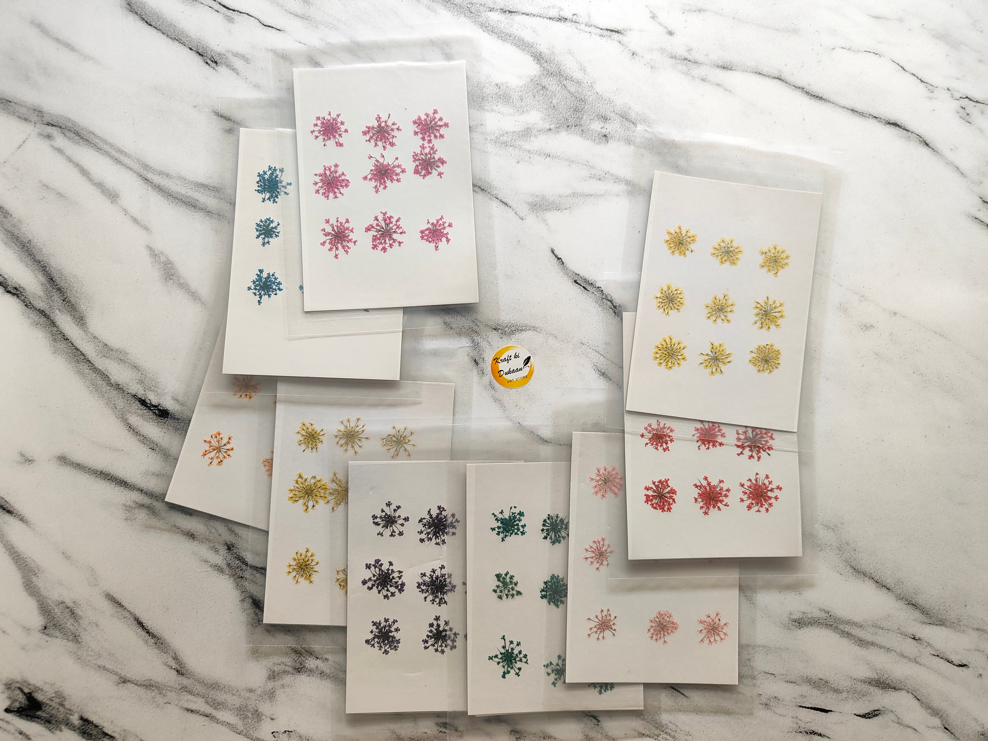 Queen breath dried flowers craft supplies assortment with vibrant colors on cardstock cards