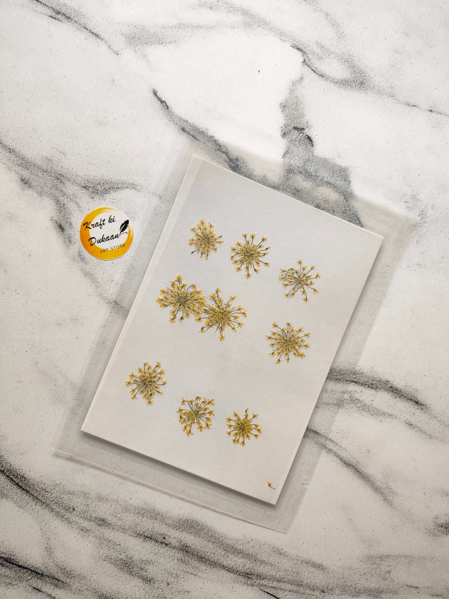 Queen breath dried flowers craft supplies arranged on a sheet for creative projects