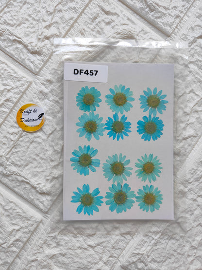 Real daisy flower sheets featuring turquoise and green blossoms on a white background