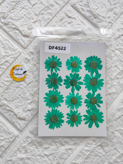 Craft supply pack featuring real daisy flower sheets in vibrant green for DIY projects