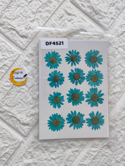 Real daisy flower sheets featuring vibrant blue daisies in an appealing arrangement