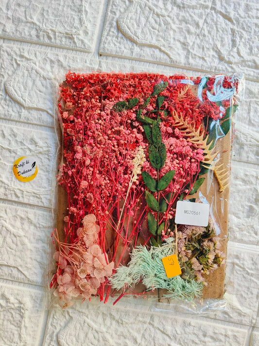 Mix Dry Flower Sheet Big A9: red/pink/green dried blooms on brown paper