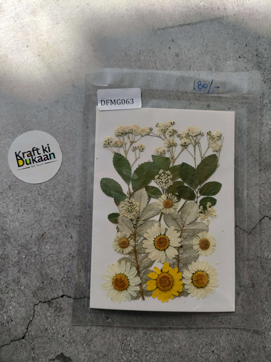 Pressed flower sheet with mixed white and yellow daisies and green leaves