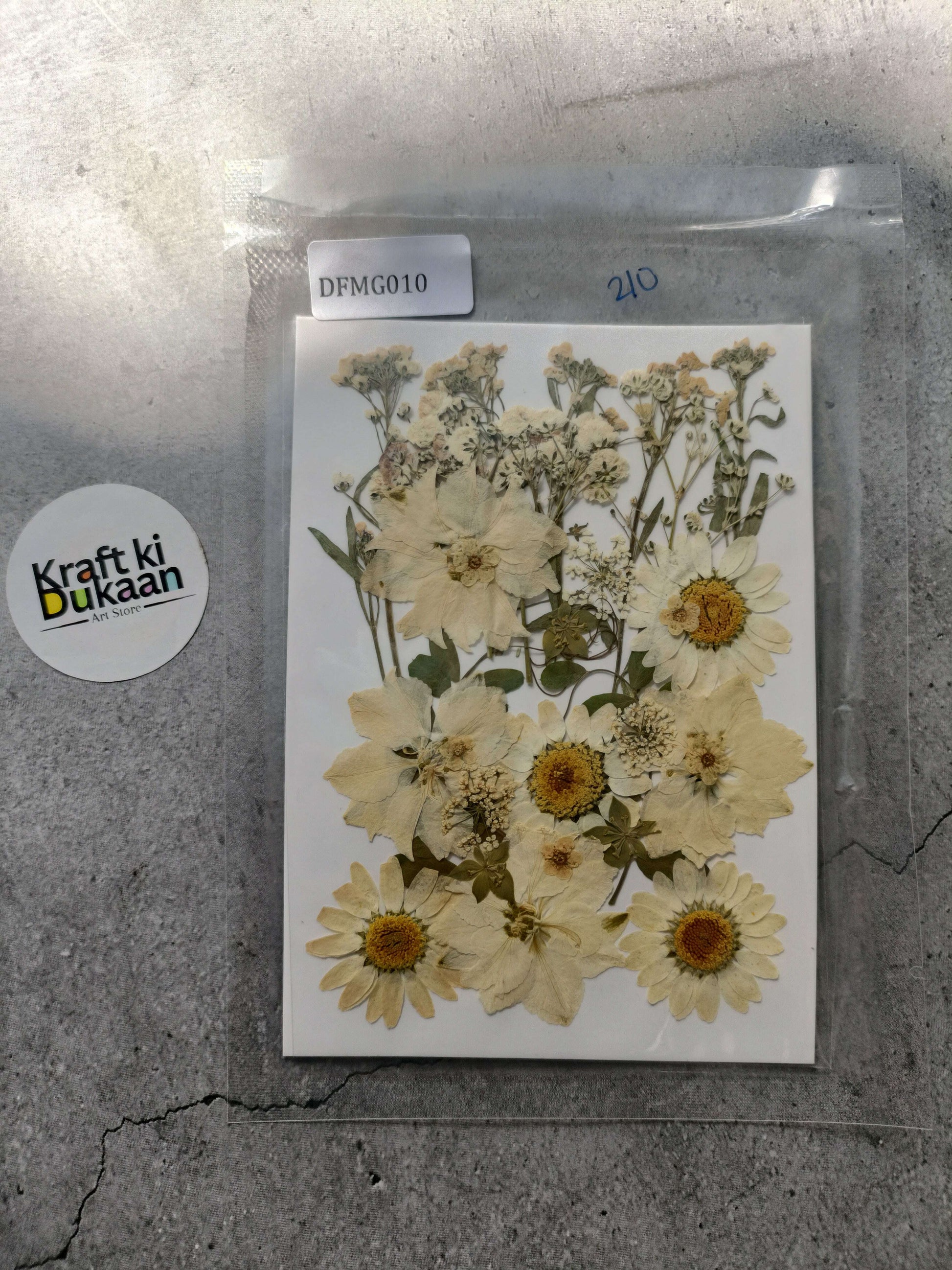 Pressed flower sheet mix with beige and cream dried flowers, in clear sleeve