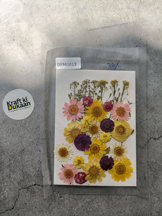 Pressed flower sheet mix with assorted pink, yellow, and purple dried blooms