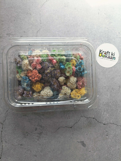 Dried daisy flower box with colorful dried blooms inside clear plastic container