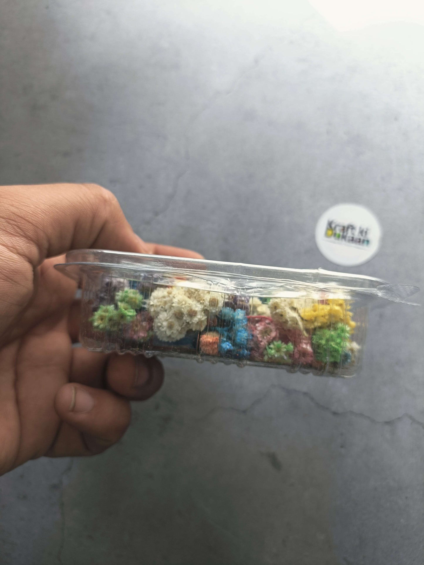 Hand holding a dried daisy flower box; clear plastic package with multicolor blooms