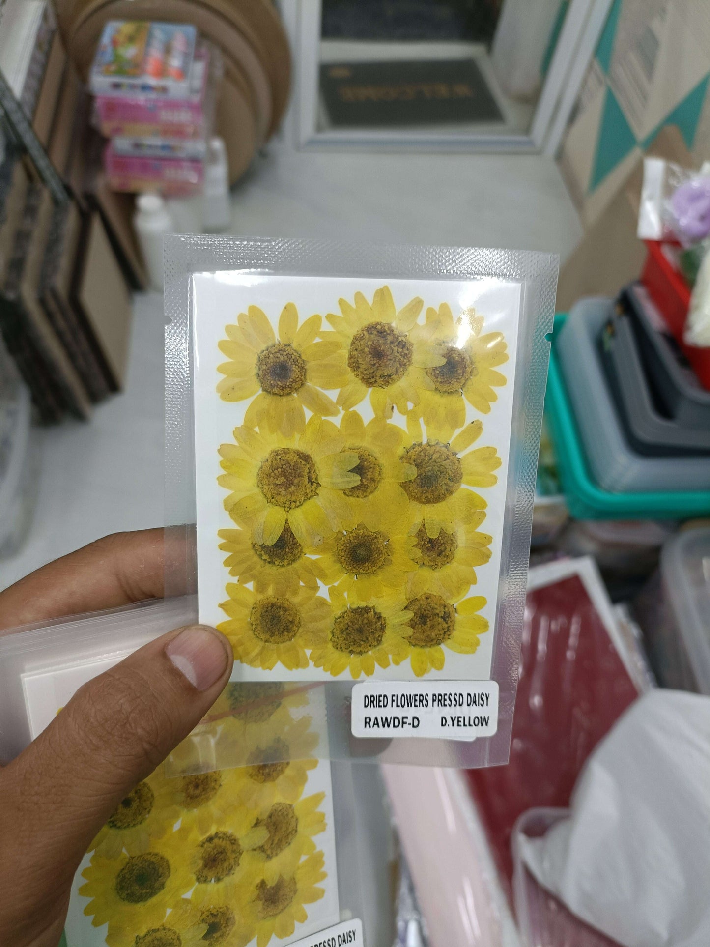 Daisy pressed flower sheet, yellow daisies with dark brown centers, sealed pack