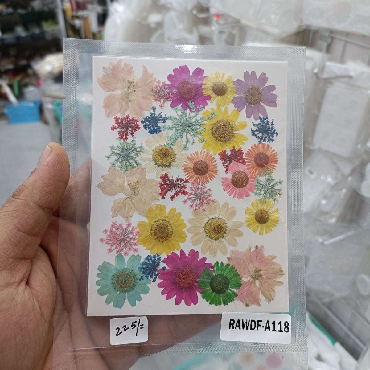 Pressed dry flower sheet with assorted pink, purple, yellow, blue, and green blooms on paper
