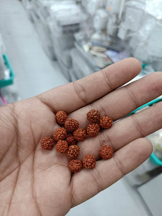 Rudraksh wooden bead pack of 25, small brown carved beads in hand