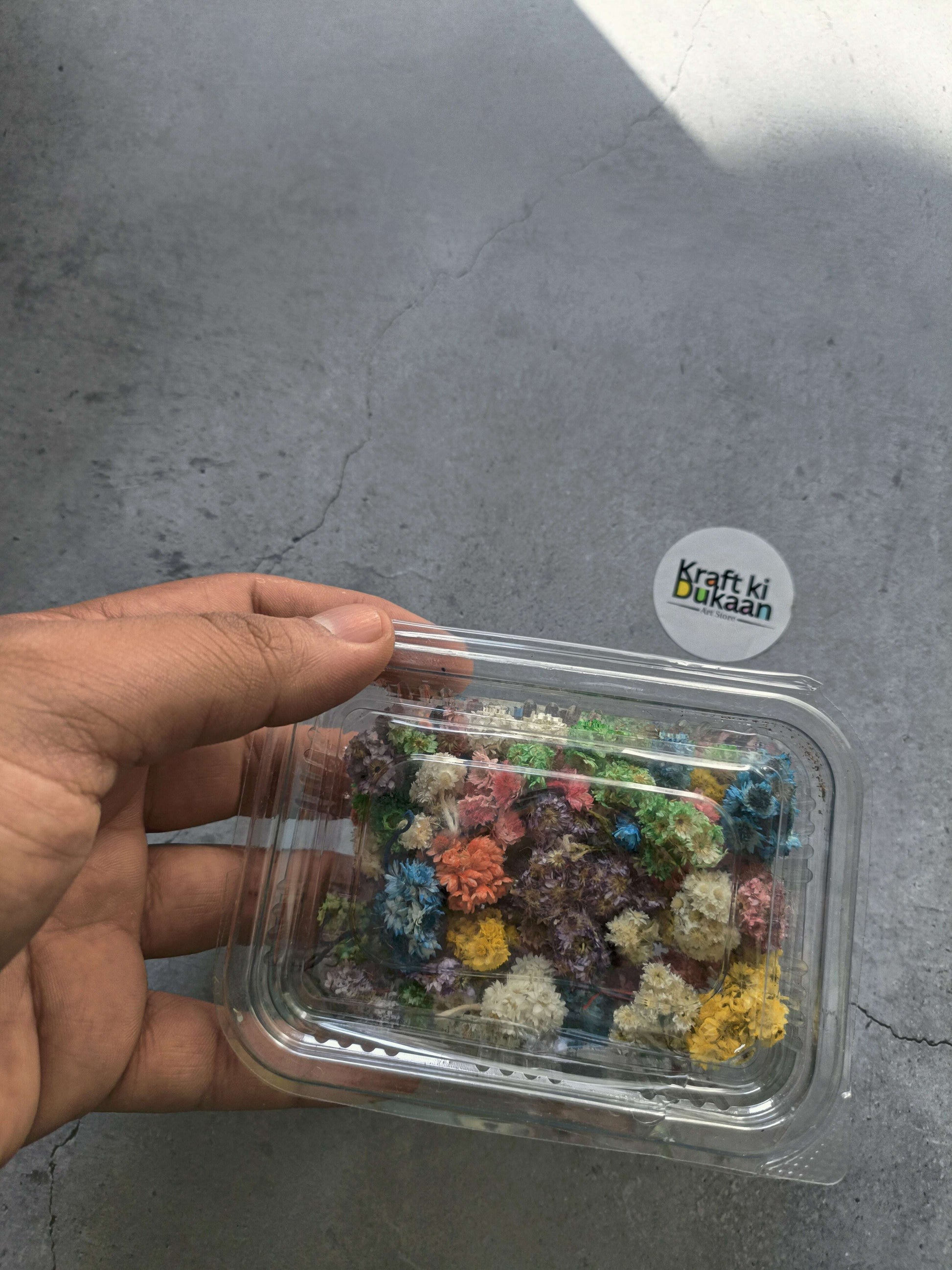 Dried daisy flower box in clear clamshell with multicolor dried flowers visible