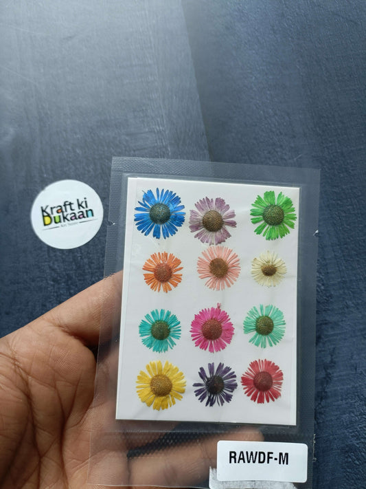 Pressed chrysanthemum flower set, multi-color blooms on a white card (12 pcs)