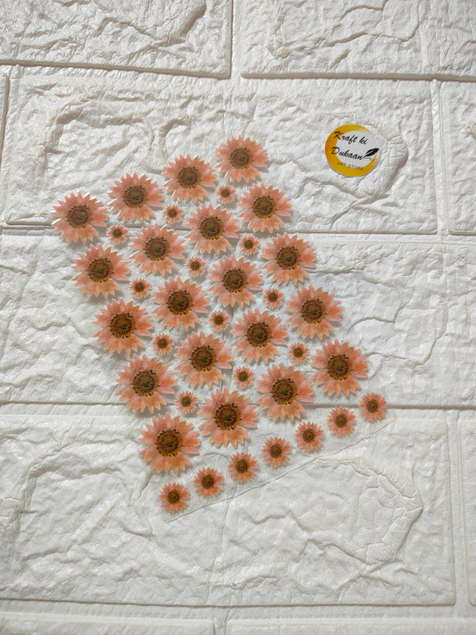 UV DTF Peel off sticker sheet J2