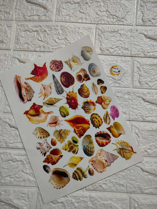 A4 colour sticker sheet with colorful seashell designs
