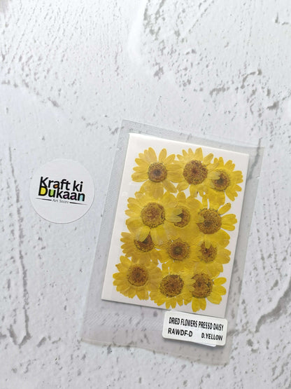 Daisy pressed flower sheet, yellow daisies with dark centers, sealed pack