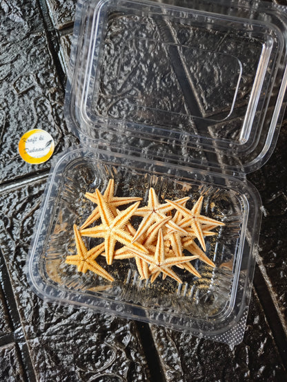 10-piece starfish set in clear plastic box with orange and cream star-shaped pieces