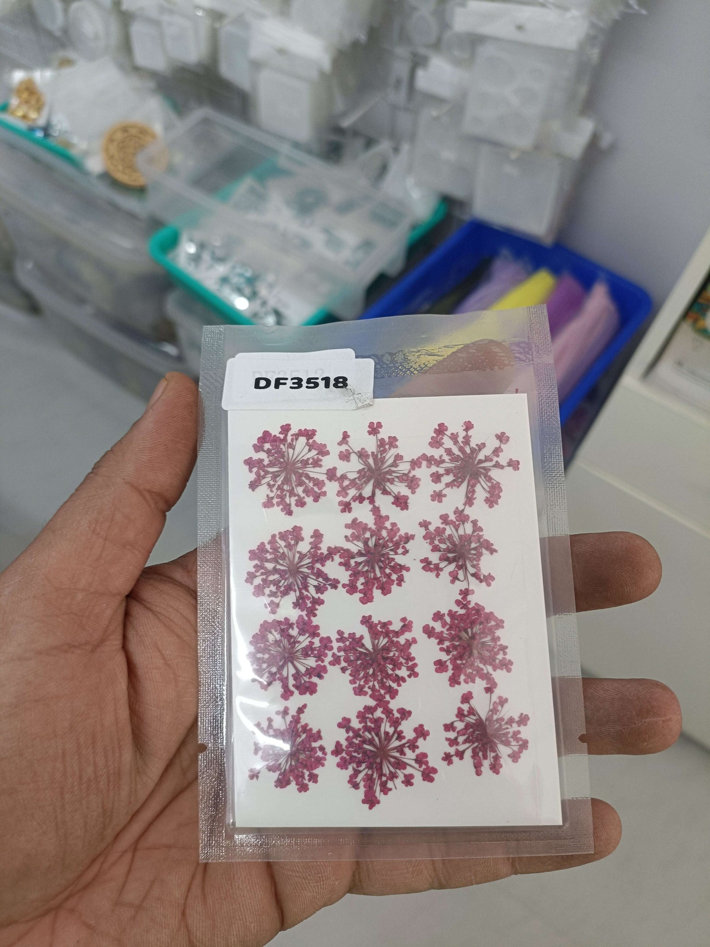Pressed flower set (12 pcs) in pink-magenta on backing card, DF3518 label