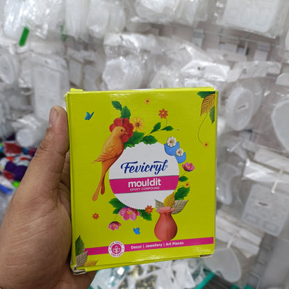 Fevicryl Mouldit 500GM Set