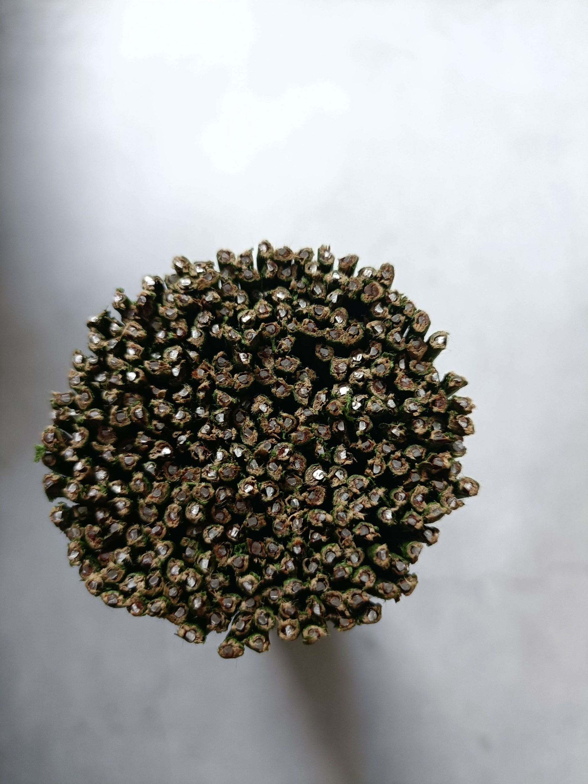 Round bundle of green floral tape coated wire sticks with curled tips