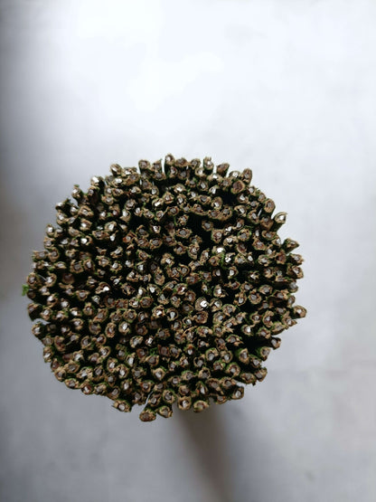 Round bundle of green floral tape coated wire sticks with curled tips