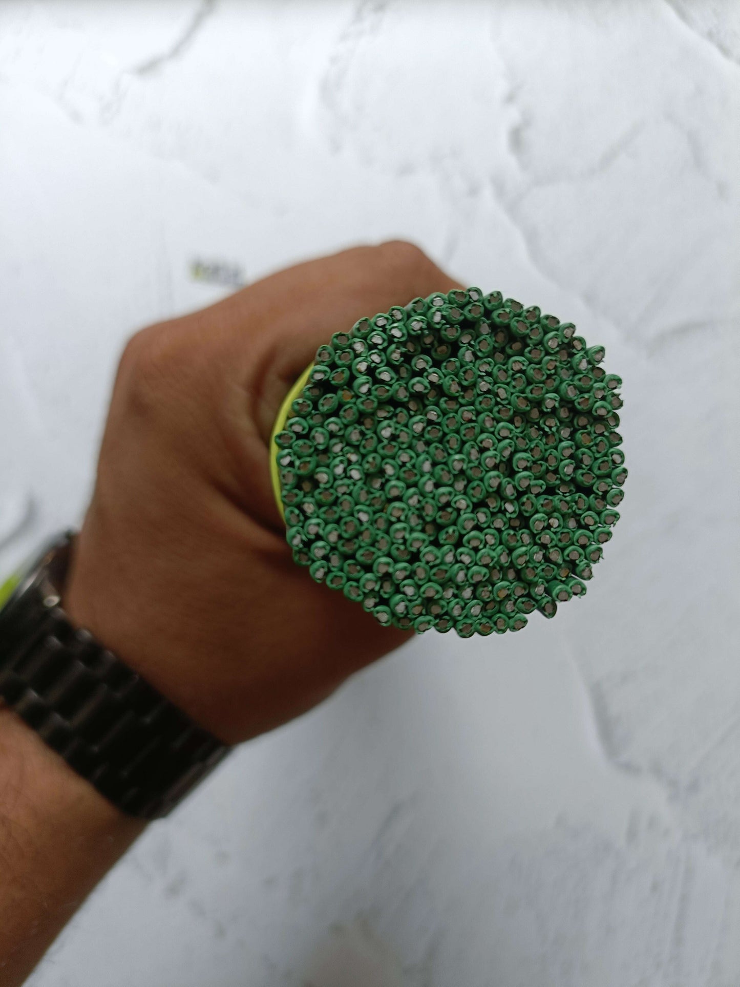 Green plastic-coated wire sticks, rounded wire end with coiled tip