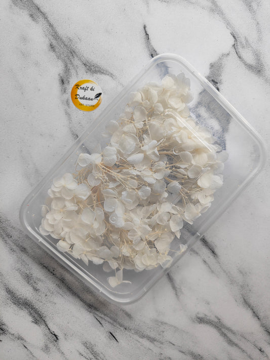 White hydrangea dry flower box featuring delicate dried flowers in a clear plastic container