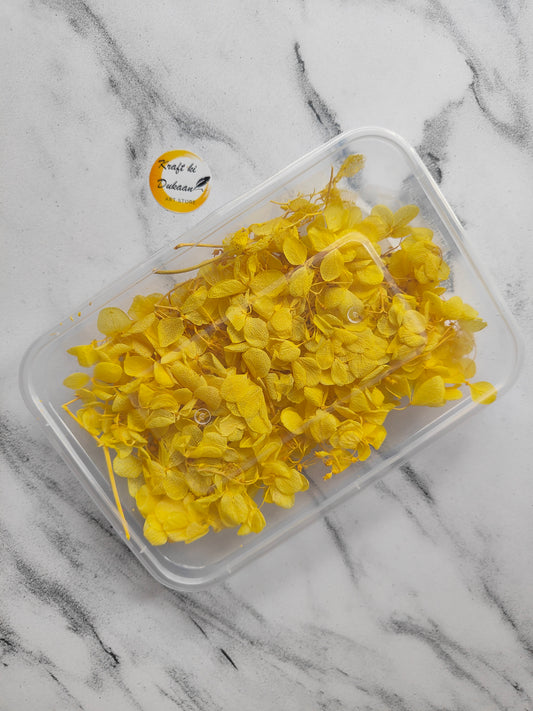 Yellow dried hydrangea flowers craft supply in a clear container for DIY projects